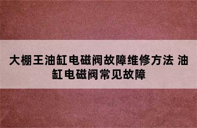 大棚王油缸电磁阀故障维修方法 油缸电磁阀常见故障